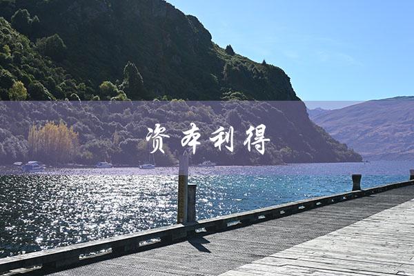 资本利得（资本利得税是什么）