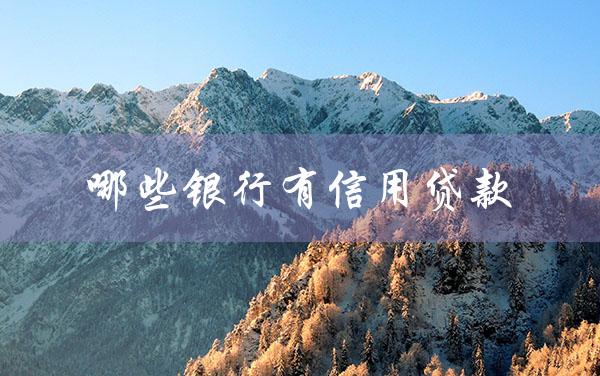 哪些银行有信用贷款（有信用贷款业务的银行）