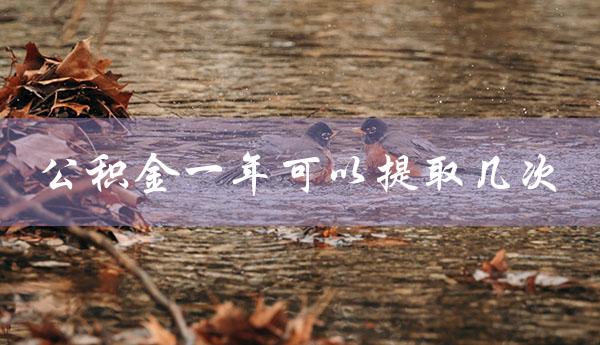 公积金一年可以提取几次（公积金租房提取次数）