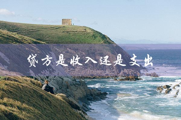 贷方是收入还是支出（银行流水贷方收入还是支出）