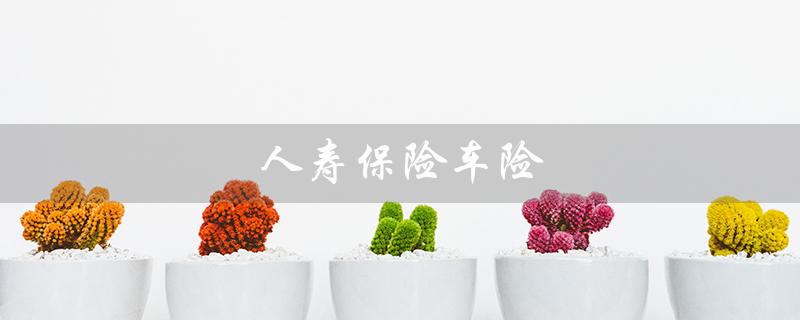 人寿保险车险（人寿车险查询）