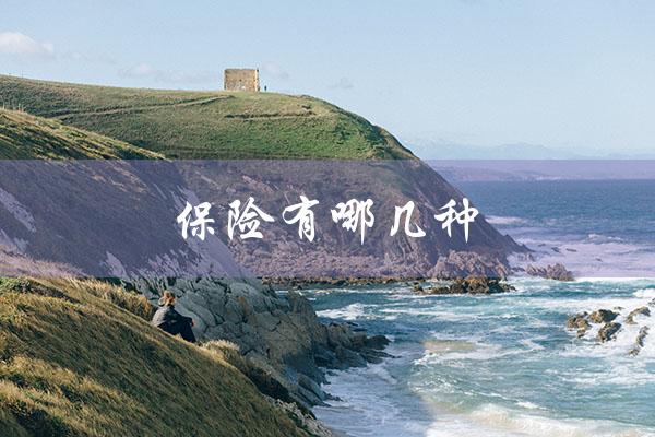 保险有哪几种（人身保险有哪几种）