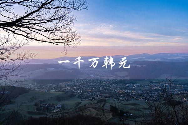 一千万韩元（1千万韩元兑换1988年人民币汇率是多少）