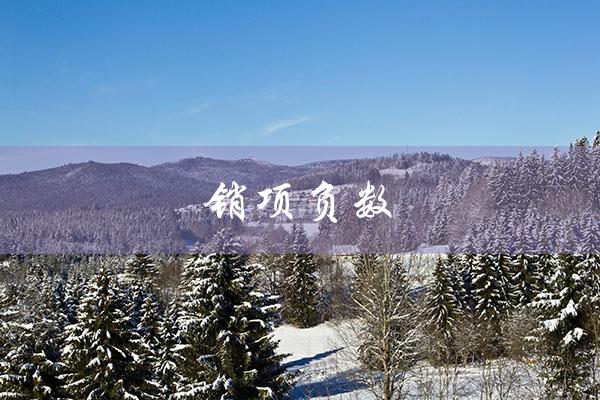 销项负数（销项负数的含义）