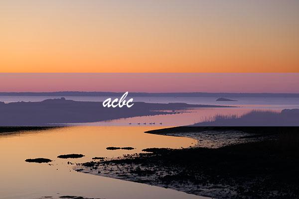 acbc（ACBC是哪家银行）