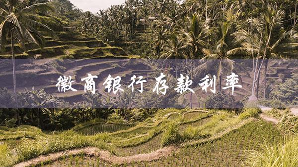 徽商银行存款利率（银行存款利率查询）