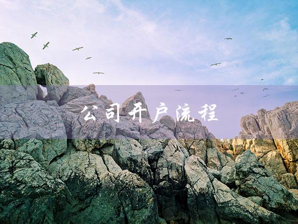 公司开户流程（新公司开户流程是什么）