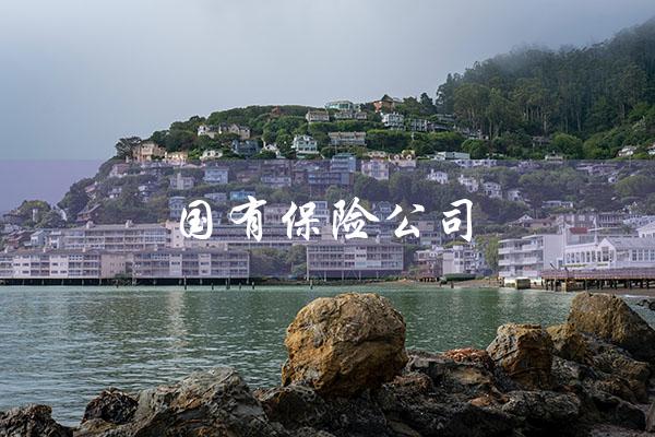 国有保险公司（国有保险公司排名）