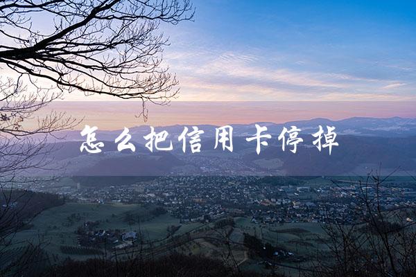 怎么把信用卡停掉（如何停用信用卡）