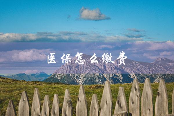 医保怎么缴费（如何网上缴纳医保费）