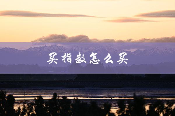 买指数怎么买（买指数该怎么买）
