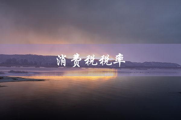 消费税税率（2023年消费税税率是多少）