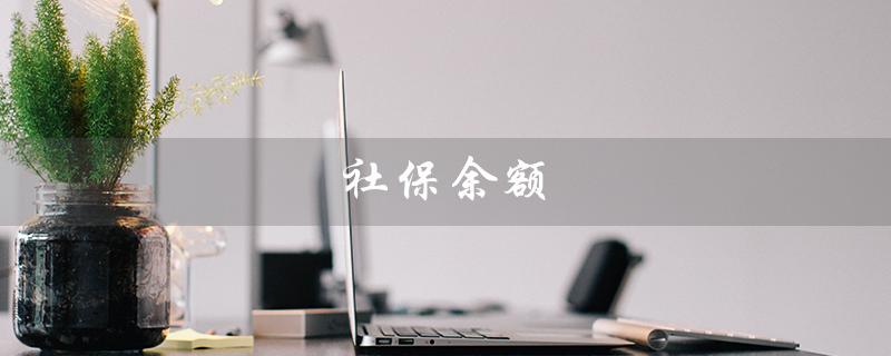 社保余额（个人社保账户余额查询）