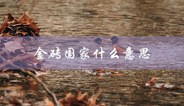 金砖国家什么意思（五大金砖国家是什么）