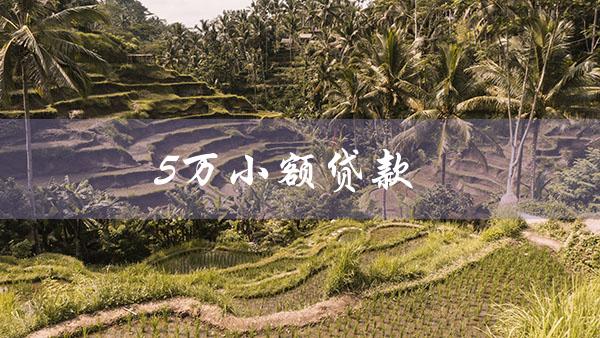 5万小额贷款（5万小额贷款利息是多少）