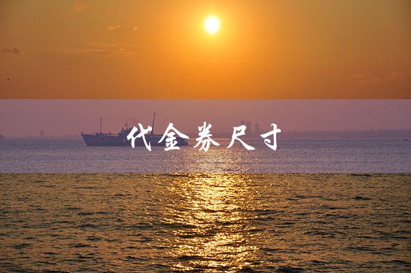 代金券尺寸（代金券尺寸多大）