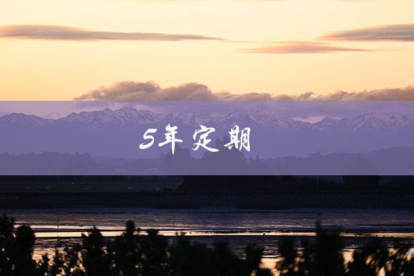 5年定期（安全稳健的投资方式）