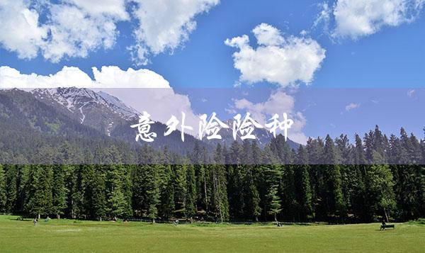 意外险险种（2022意外险价格表是什么）