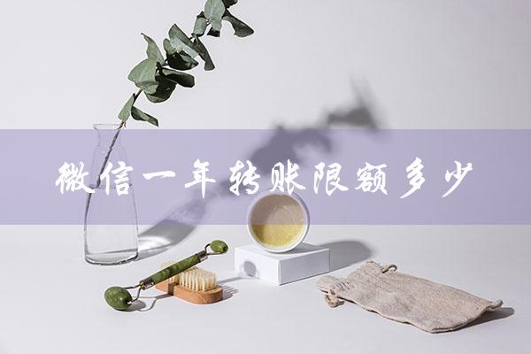 微信一年转账限额多少（微信转账限额及超额处理）
