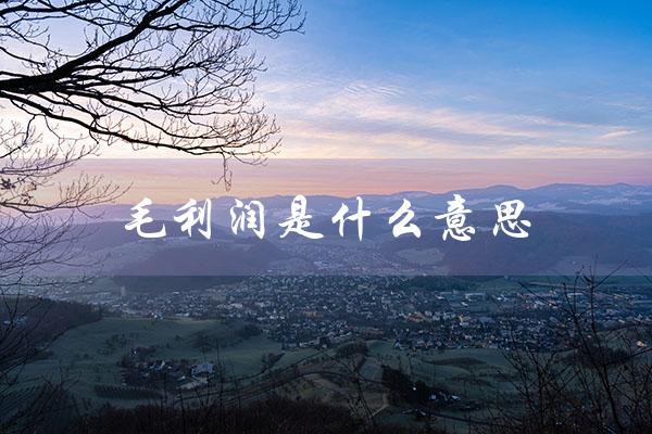 毛利润是什么意思（净利润和毛利润是什么）