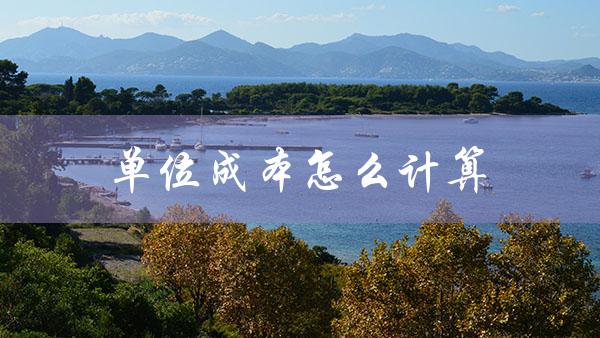 单位成本怎么计算（商品单位成本怎么算）