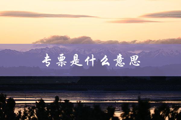 专票是什么意思（什么是专票演唱会）