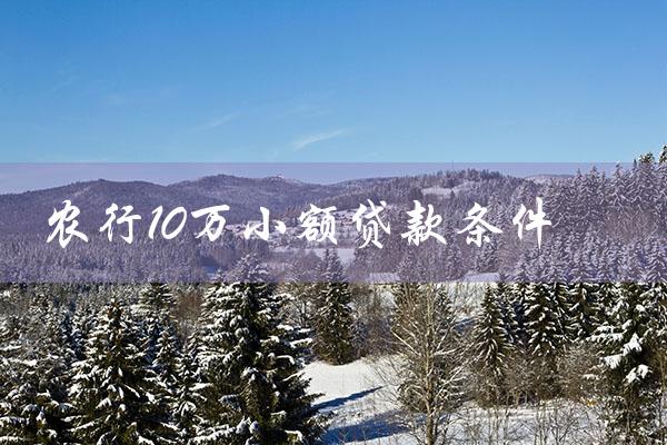 农行10万小额贷款条件（农行10万小额贷款利息是多少）
