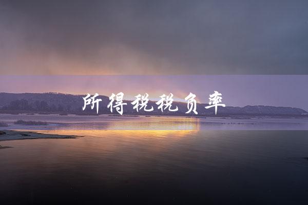 所得税税负率（所得税税负率行业标准是什么）