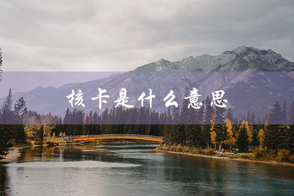 核卡是什么意思（什么是卡片核卡）