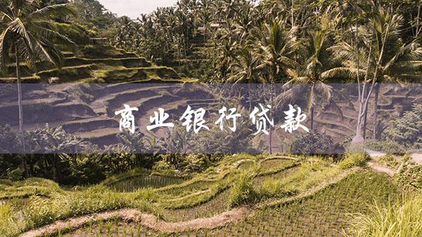 商业银行贷款（商业银行贷款解释）