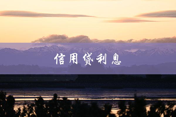 信用贷利息（信用贷利息计算器软件是什么）