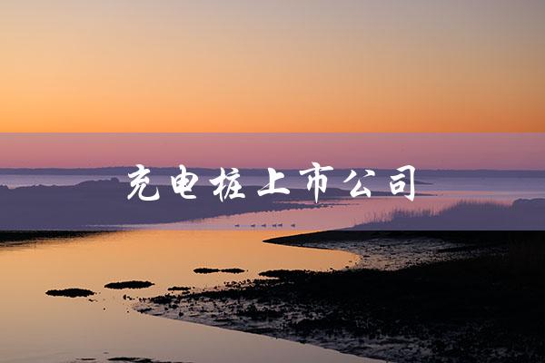 充电桩上市公司（哪些上市公司是充电桩行业的龙头）