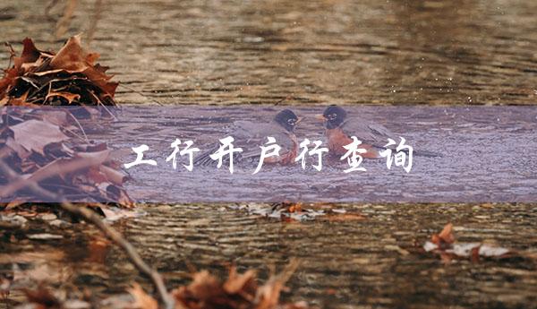 工行开户行查询（工行开户行查询短信）