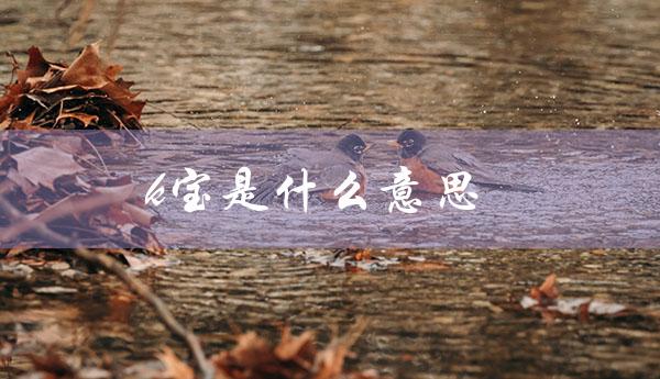 k宝是什么意思（什么是银行卡k宝）