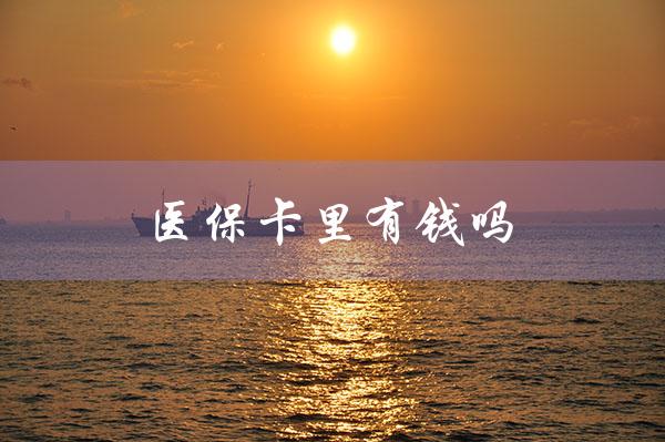医保卡里有钱吗（医保卡余额查询）