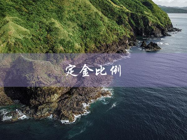 定金比例（超过20%的定金比例）