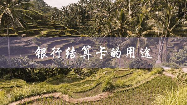 银行结算卡的用途（银行结算账户自查报告）