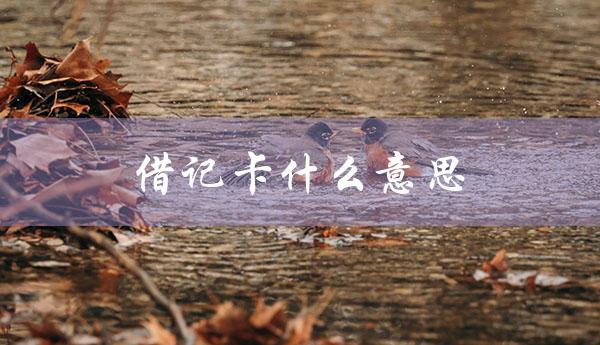 借记卡什么意思（借记卡和储蓄卡有何区别）