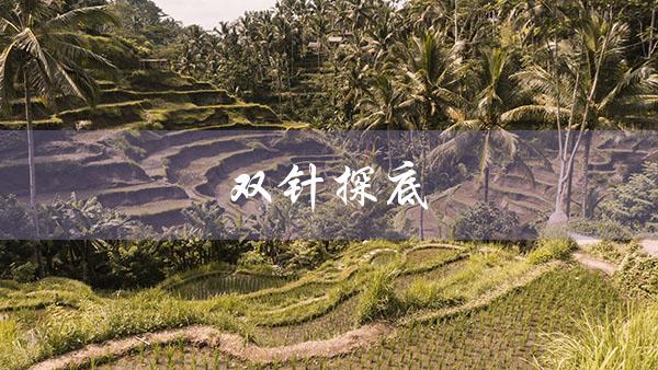 双针探底（双针探底后走势如何）