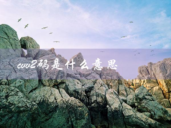 cvv2码是什么意思（什么是CVV2码）