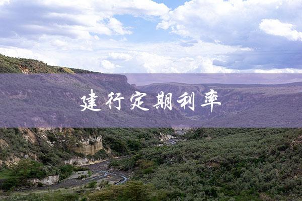 建行定期利率（建行定期利率计算器怎么用）