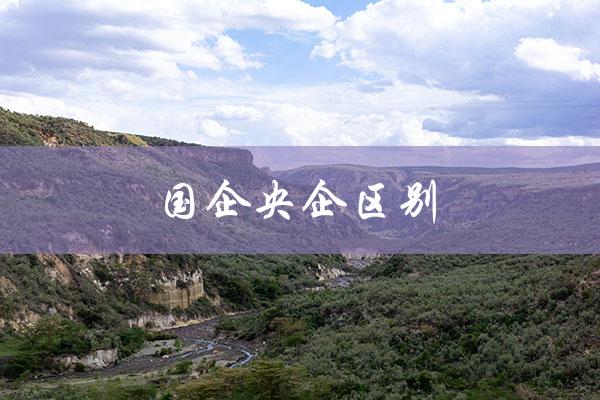 国企央企区别（国企和央企有何区别）