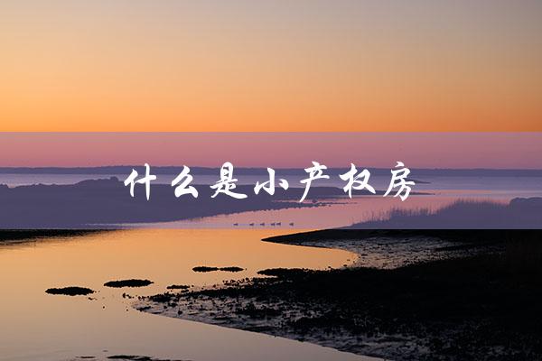 什么是小产权房（小产权房能买吗）
