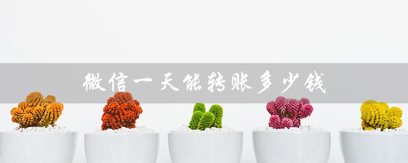 微信一天能转账多少钱（微信转账限额是多少）