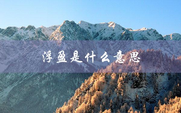 浮盈是什么意思（盯市浮盈的含义是什么）