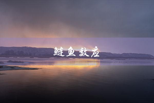 鲢鱼效应（鲢鱼效应的教训是什么）