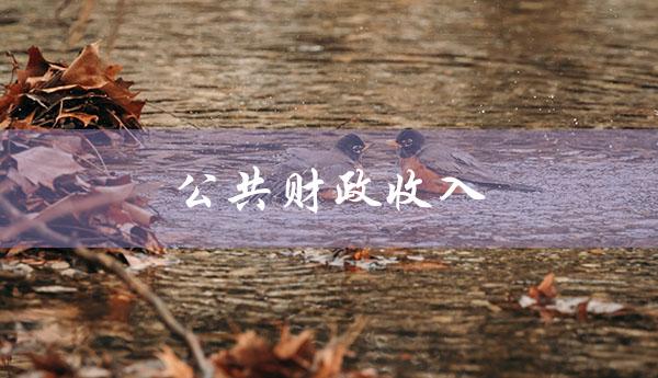 公共财政收入（公共财政收入是什么）