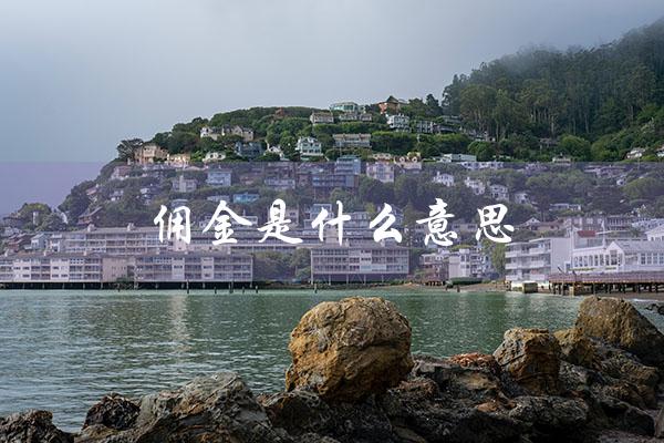 佣金是什么意思（证券佣金是什么）
