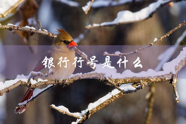 银行行号是什么（银行行号怎么查）
