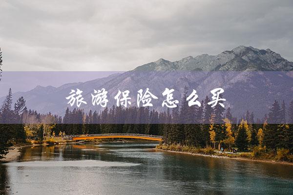 旅游保险怎么买（短期旅游保险怎么买）